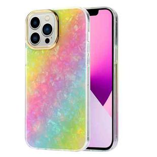 For iPhone 13 Pro Max Electroplating Shell Texture Phone Case (Rainbow Y1)