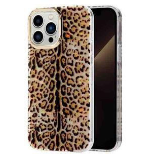 For iPhone 11 Electroplating Shell Texture Phone Case (Leopard Y3)