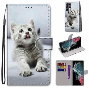 For Samsung Galaxy S22 Ultra 5G Coloured Drawing Cross Texture Horizontal Flip Leather Phone Case with Holder & Card Slots & Wallet & Lanyard(Small Grey Cat)