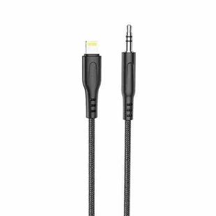 hoco UPA18 8 Pin Digital Audio Conversion Cable, Length: 1m(Black)