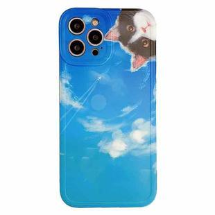 TPU Pattern Shockproof Phone Case For iPhone 13 Pro(Sky Kitten)