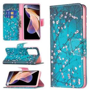 For Xiaomi Redmi Note 11 Pro / 11 Pro+ Colored Drawing Pattern Leather Phone Case(Plum Blossom)