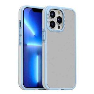 For iPhone 13 Pro TPE + TPU Shockproof Phone Case (Blue)