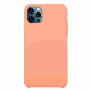 For iPhone 12 / 12 Pro Solid Silicone Phone Case(Begonia)