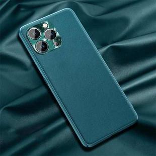 For iPhone 12 Pro Max Plain Skin Leather Case(Cyan)