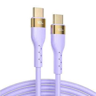 JOYROOM S-2050N18-10 100W Type-C / USB-C to Type-C / USB-C Liquid Silicone Charging Cable, Length:2m(Purple)