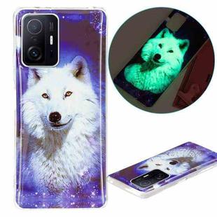 For Xiaomi 11T / 11T Pro Luminous TPU Protective Phone Case(Starry Sky Wolf)