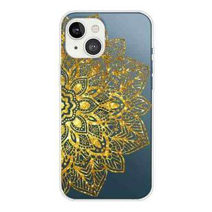 For iPhone 13 Gradient Lace Transparent TPU Phone Case(Gold)