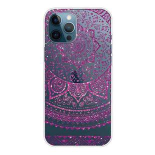 For iPhone 13 Pro Gradient Lace Transparent TPU Phone Case (Rose Red)