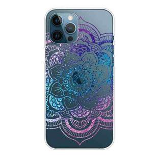 For iPhone 13 Pro Max Gradient Lace Transparent TPU Phone Case (Purple Blue Red)