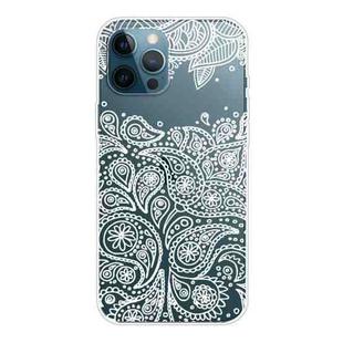 For iPhone 13 Pro Max Gradient Lace Transparent TPU Phone Case (White)