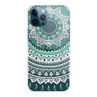For iPhone 12 mini Gradient Lace Transparent TPU Phone Case (Green White)