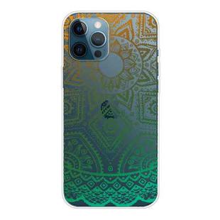 For iPhone 12 / 12 Pro Gradient Lace Transparent TPU Phone Case(Gradient Green)
