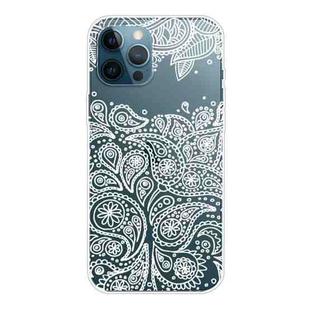For iPhone 12 Pro Max Gradient Lace Transparent TPU Phone Case(White)