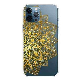 For iPhone 12 Pro Max Gradient Lace Transparent TPU Phone Case(Gold)