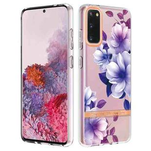 For Samsung Galaxy S20 Flowers and Plants Series IMD TPU Phone Case(Purple Begonia)