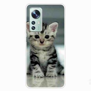 For Xiaomi 12 / 12X 5G Shockproof Painted Transparent TPU Protective Case(Sitting Cat)