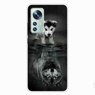 For Xiaomi 12 Pro Painted Transparent Shockproof TPU Protective Phone Case(Reflected Wolf)