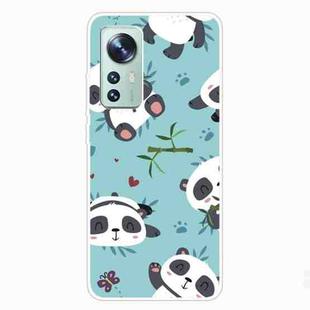 For Xiaomi 12 Pro Painted Transparent Shockproof TPU Protective Phone Case(Smiling Panda)