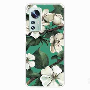 For Xiaomi 12 Pro Painted Transparent Shockproof TPU Protective Phone Case(Sasanqua)