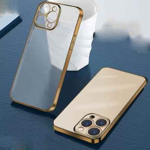 Wing Plating Series Semi-transparent Frosted Phone Case For iPhone 12(Gold)
