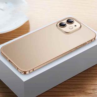 For iPhone 12 Frosted Phone Case with Lens Protection(Gold)