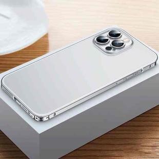 For iPhone 12 Pro Frosted Phone Case with Lens Protection(Silver)