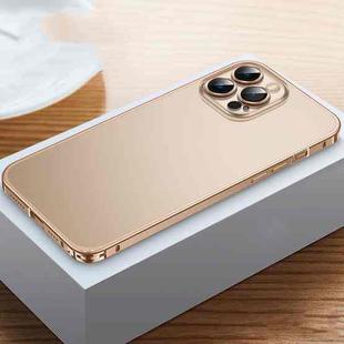 For iPhone 13 Pro Max Frosted Phone Case with Lens Protection (Gold)