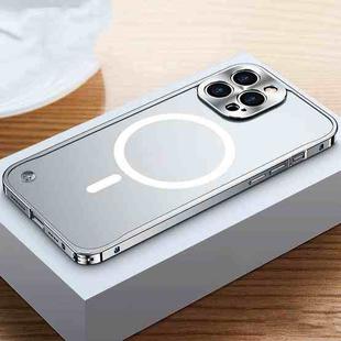 For iPhone 12 Pro Max MagSafe Magnetic Frosted Case(Silver)