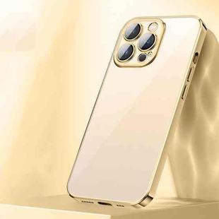 For iPhone 13 Pro Full Coverage Lens Crystal Plating Airbag Shockproof TPU Phone Case (Gold)