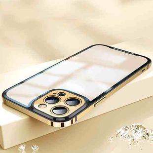 AG Frosted Glass Phone Case For iPhone 12 Pro Max(Gold)
