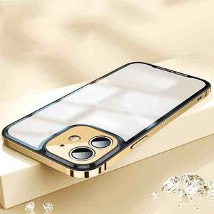 AG Frosted Glass Phone Case For iPhone 12(Gold)