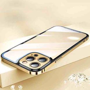 AG HD Glass Phone Case For iPhone 13 Pro Max(Gold)