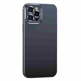 For iPhone 12 Pro Metal Lens Liquid Silicone Phone Case(Black)