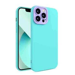 For iPhone 12 Pro Max Eagle Eye Lens Oily Feel TPU + PC Phone Case(Light Green)