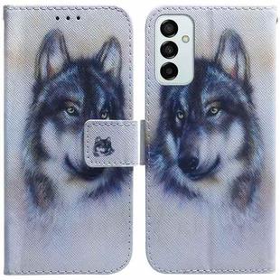 For Samsung Galaxy M23 / F23 Coloured Drawing Leather Phone Case(White Wolf)