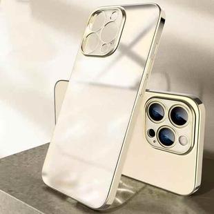 For iPhone 13 Pro Plating Frosted Shockproof Phone Case (Gold)