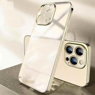 For iPhone 12 Pro Plating Frosted Shockproof Phone Case(Gold)