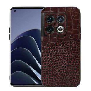For OnePlus 10 Pro 5G Crocodile Top Layer Cowhide Leather Phone Case(Coffee)