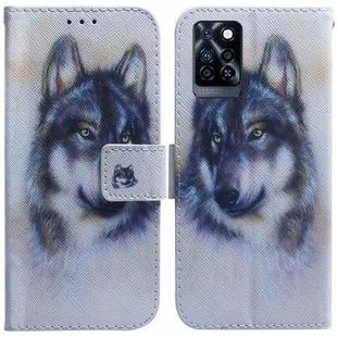 For Infinix Note 10 Pro X695 Coloured Drawing Leather Phone Case(White Wolf)