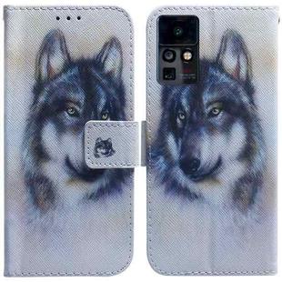 For Infinix Zero X / X Pro Coloured Drawing Leather Phone Case(White Wolf)