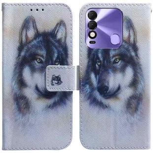 For Tecno Spark 8 / 8T Coloured Drawing Leather Phone Case(White Wolf)
