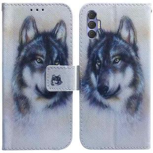 For Tecno Spark 8P Coloured Drawing Leather Phone Case(White Wolf)