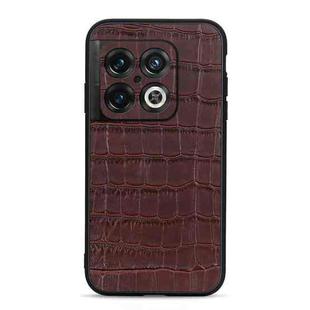 For OnePlus 10 Pro Accurate Hole Crocodile Texture Genuine Leather Phone Case(Brown)