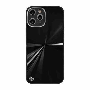 For iPhone 12 Pro CD Texture TPU + Tempered Glass Phone Case(Black)