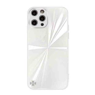 For iPhone 13 Pro Max CD Texture TPU + Tempered Glass Phone Case (White)