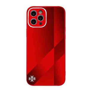 For iPhone 12 Pro X10A Texture TPU + Tempered Glass Phone Case(Red)