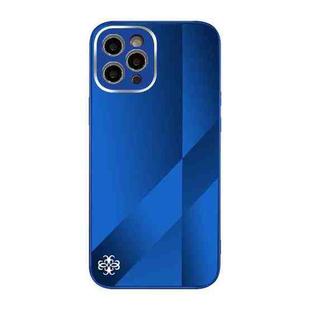 For iPhone 12 Pro X10A Texture TPU + Tempered Glass Phone Case(Blue)