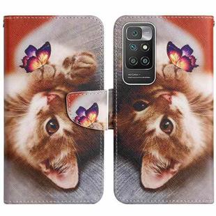 For Xiaomi Redmi 10 Painted Pattern Flip Leather Phone Case(Butterfly Cat)