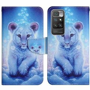For Xiaomi Redmi 10 Painted Pattern Flip Leather Phone Case(Little Leopard)
